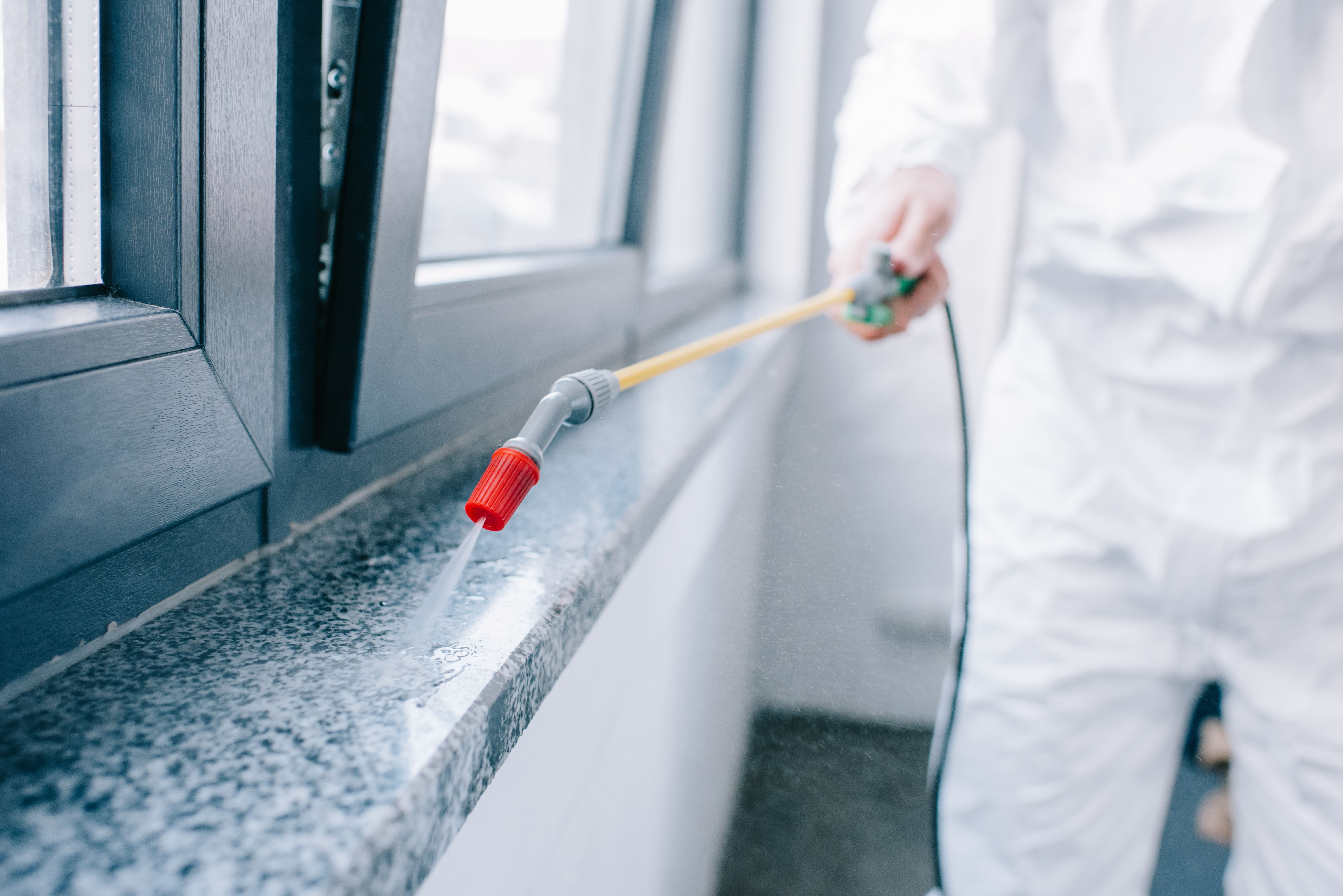 cropped-image-of-pest-control-worker-spraying-pesticides-on-windowsill-at-home.jpg